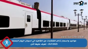 مواعيد وأسعار تذاكر القطارات من القاهرة إلى أسوان اليوم الجمعة 25/7/2025 – تعرف عليها الآن